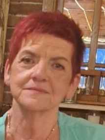 Majda (Vejsil) Ališahović -dje. Komarica