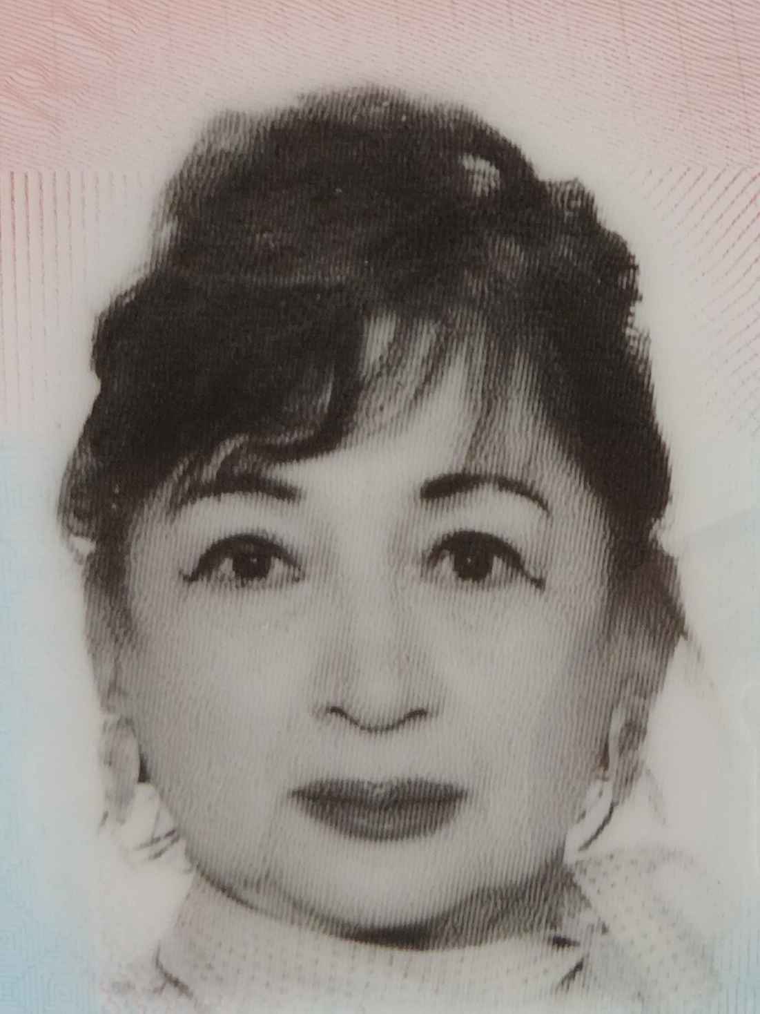Sanja  Pejić -dje.  Vojnović