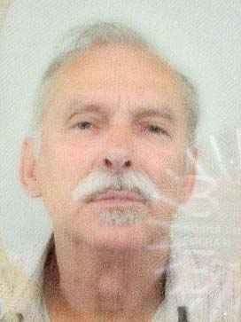 Tomislav   Brkić
