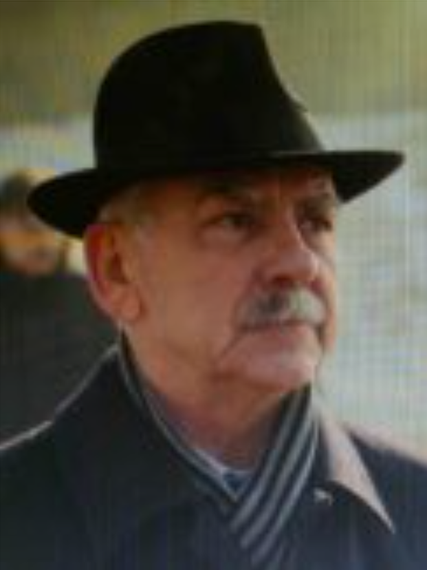 Mirsad  Dizdarević