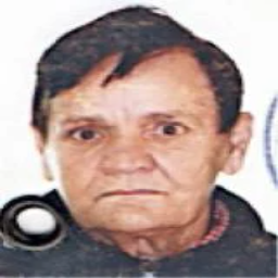 Emira  Hadžimahmutović