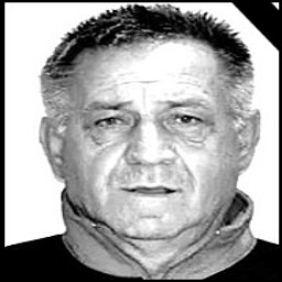 Franjo  Vladić
