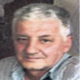 Mirsad (Mehmeda) Begić