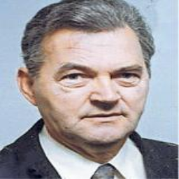 Radoslav  Vujović