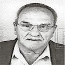 Hasan  Abadžić