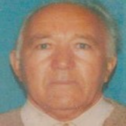 Rade  Momičilović