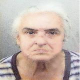 Slobodanka  Hajdarović -dje. Komljenović