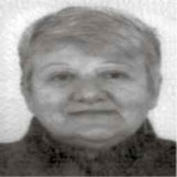 Enisa  Efendić