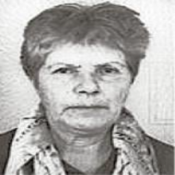 Emina  Masleša -dje. Ćesir