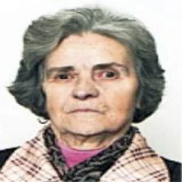 Remzija  Ajeti -dje. Musić