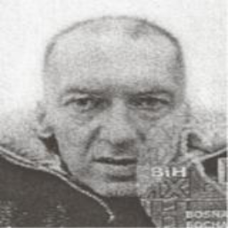 Alija (Kasima) Zulfić