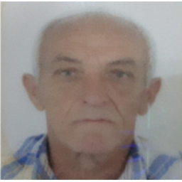 Dragan  Korol