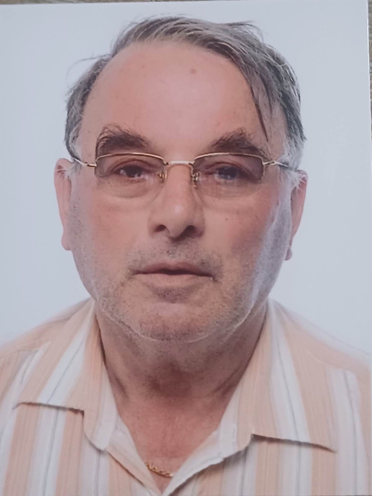 Avdija  Custovic