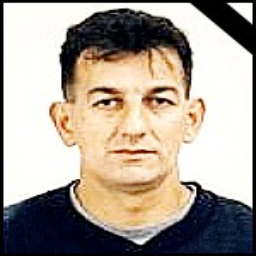 Miljenko  Matković