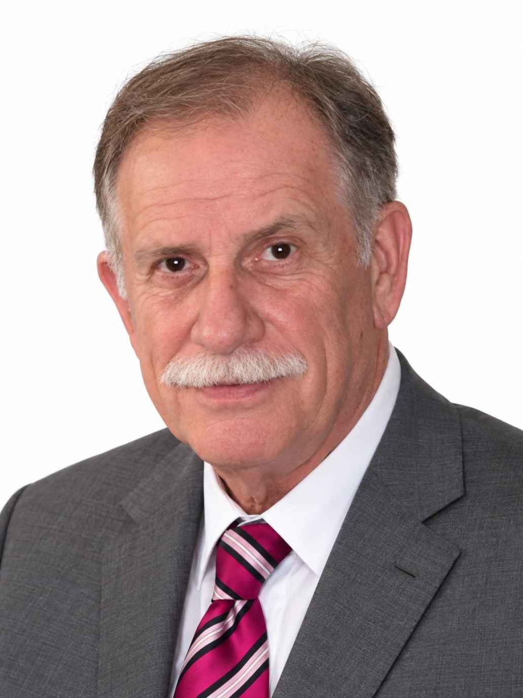 Ermin  Alimanović