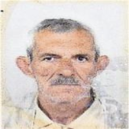 Midhat  Mešković