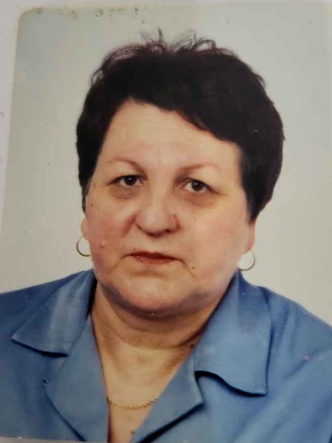 Hedija (Rasim) Deljkić -dje. Čelik