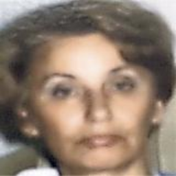 Sebija  Hadžiosmajvić -dje. Bratović