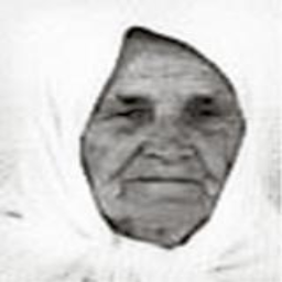 Ajkuna  Trnka -dje. Voloder