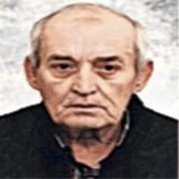 Zenaid  Osmanagić
