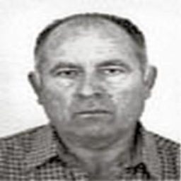 Ibro  Hošo