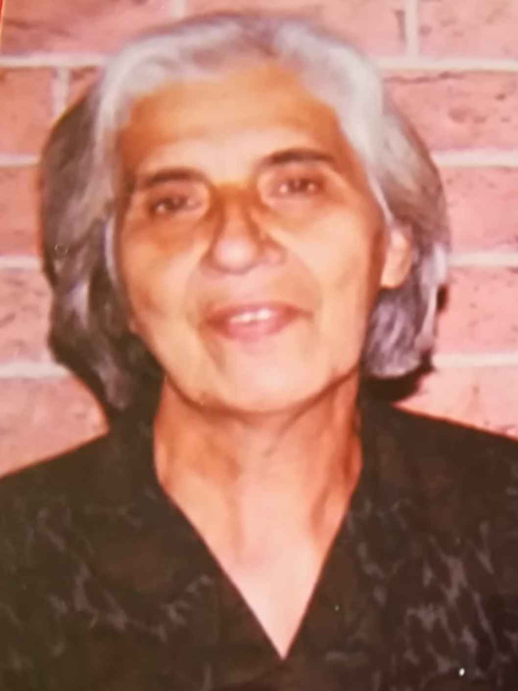 Sojka  Pejicic -dje. Lakic