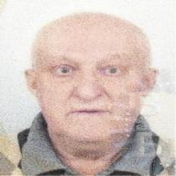 Viktor (Mirka) Divković