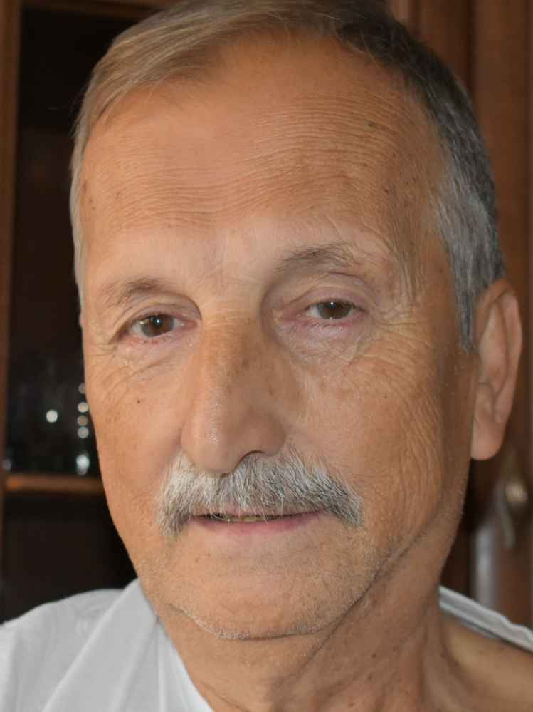 Suad  Pelesić
