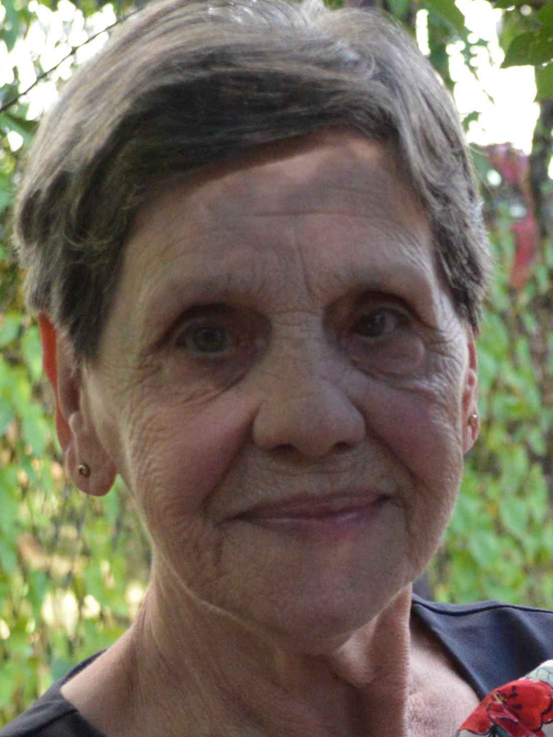 Amila  Pilav -dje. Stupac