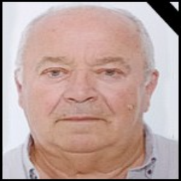 Ilija  Begić