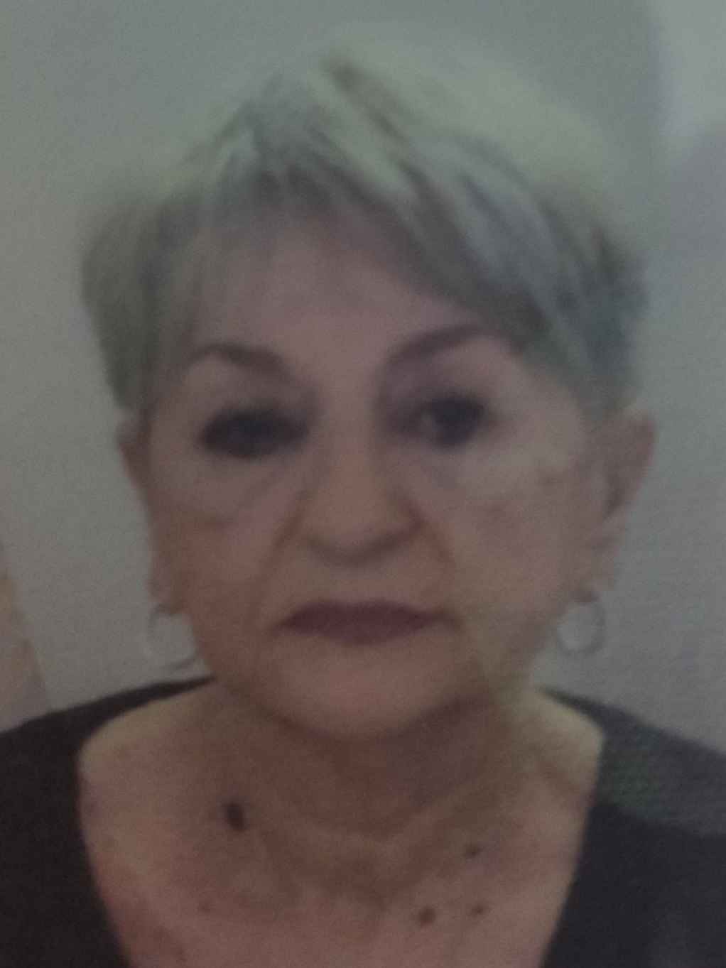 Jadranka  (Senije) Hasić