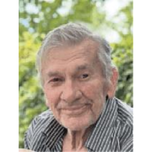 Zahid (Hameda) Hodžić