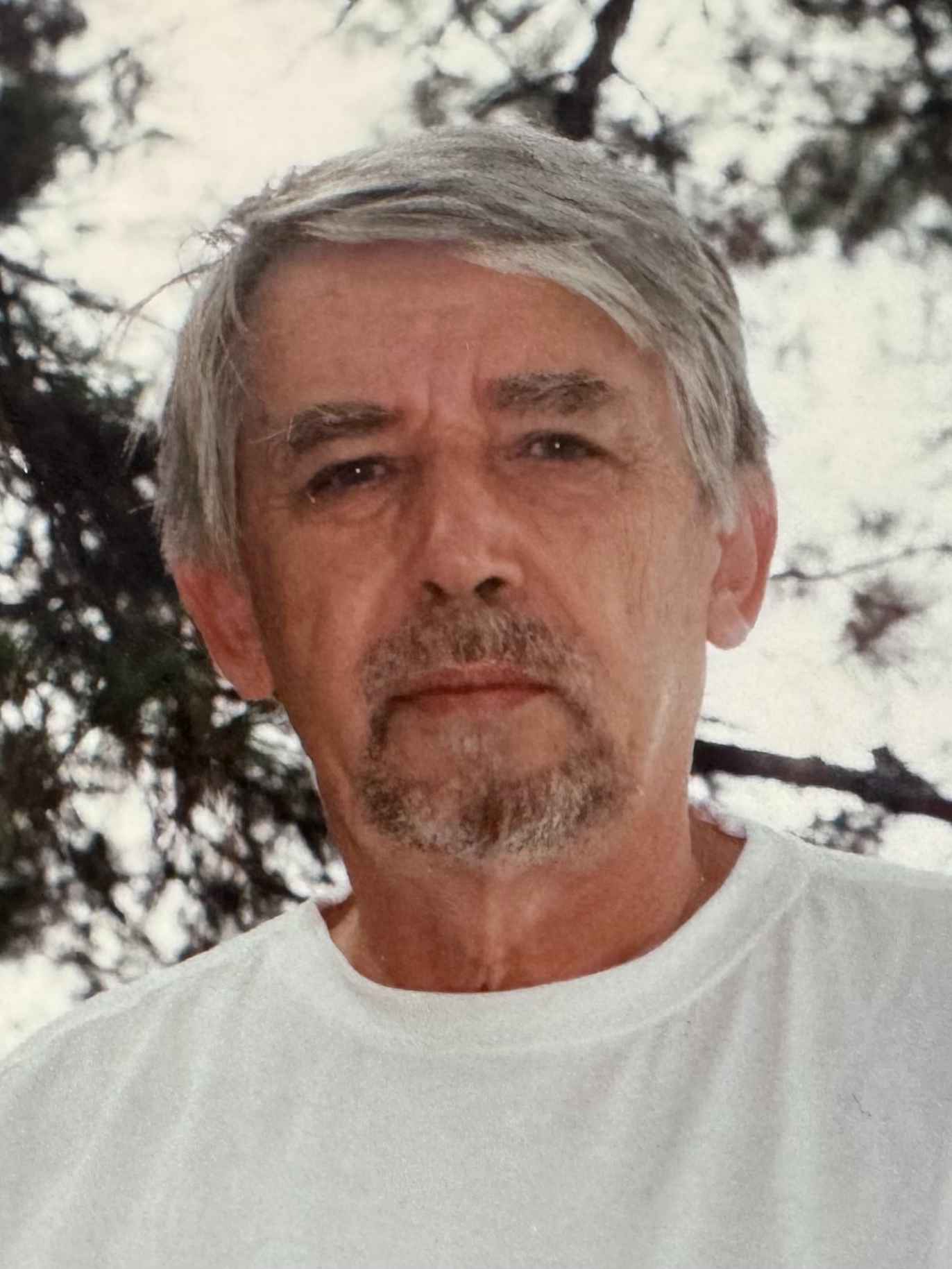 Zijad  (Akif) Handžić
