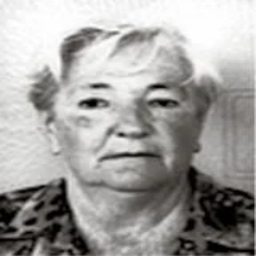 Fehrida  Jabučar -dje. Džaka