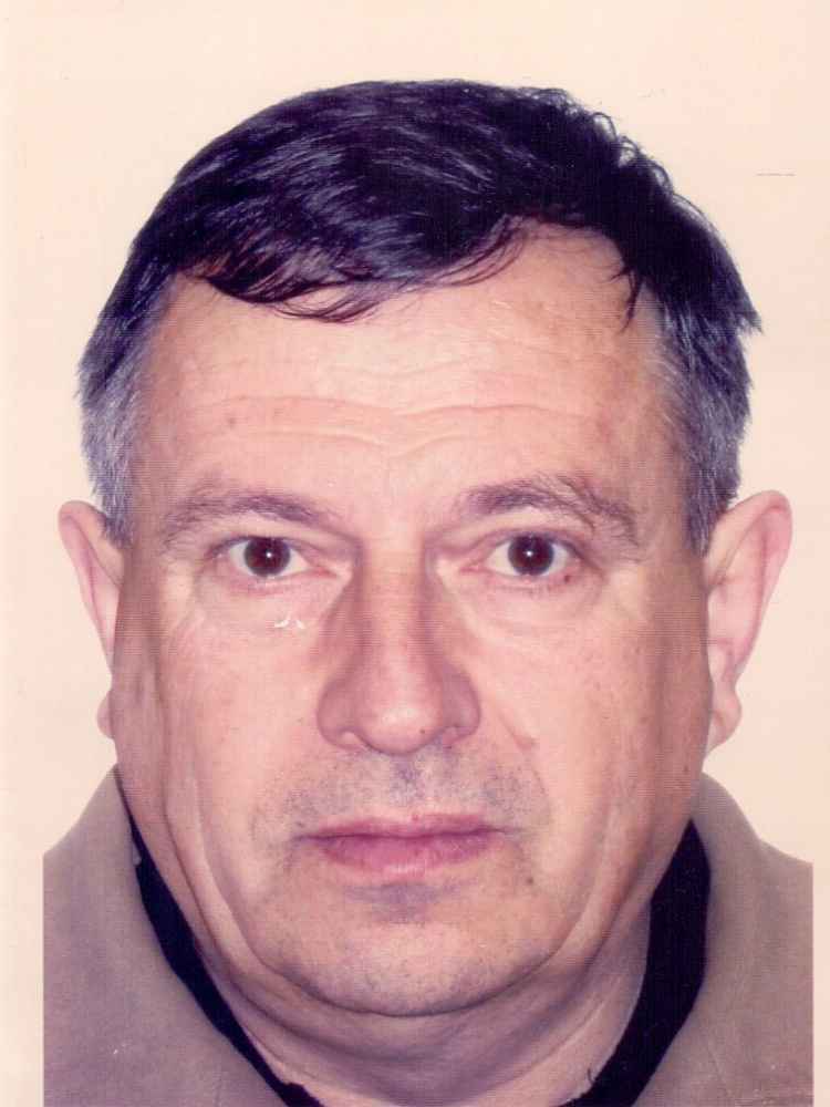 Alija  Džananović