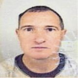 Nihad (Fajke) Korman