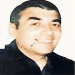 Halid  Brkić