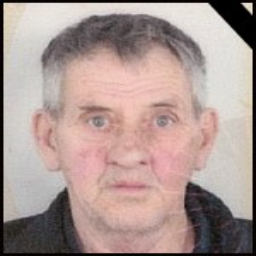 Žarko  Kovačić
