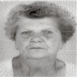 Kata  Pavić