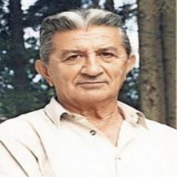 Vladirmir (Gruje) Mitrović