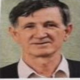 Hruste  Ibišević