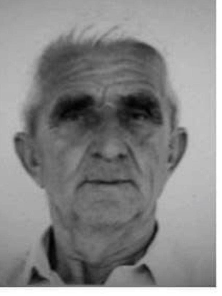 Džafer  Ajanović