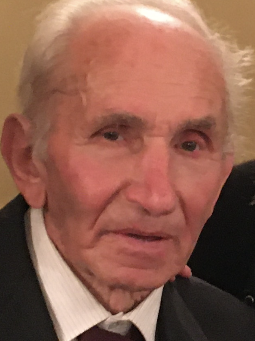 Prof.Dr.Sci. Hamdo  Lokvančić