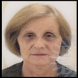 Šiba  Leban