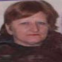 Amira  Lubovac -dje. Begović