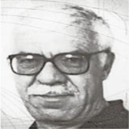 Rifat  Krchić