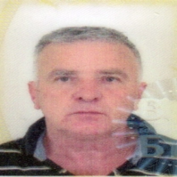 Nijaz  Hadžiabdić