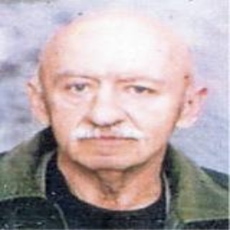 Milutin  Stojčević