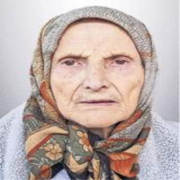 Zimeta  Alimanović -dje. Delić